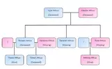 House Athius Family Tree Complete.webp