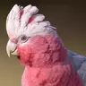PinkAngel725
